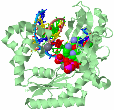 Image Biological Unit 2