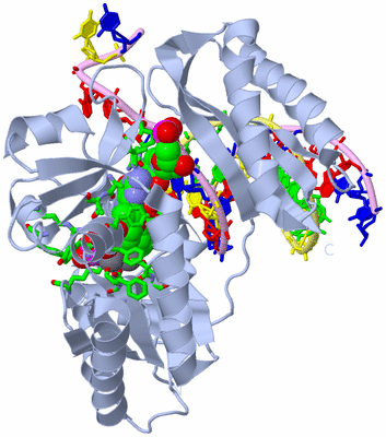 Image Biol. Unit 1 - sites