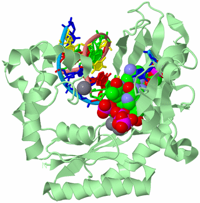 Image Biological Unit 2