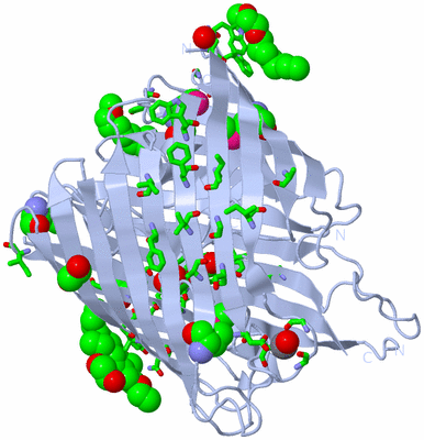 Image Biol. Unit 1 - sites