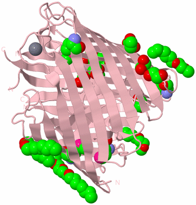 Image Biological Unit 3