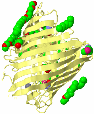 Image Biological Unit 4