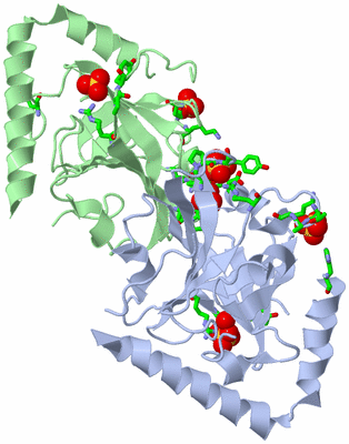 Image Asym. Unit - sites