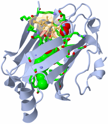 Image Biol. Unit 1 - sites