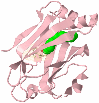 Image Biological Unit 3