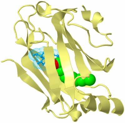 Image Biological Unit 4