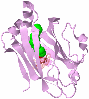 Image Biological Unit 5