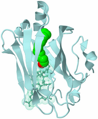 Image Biological Unit 6