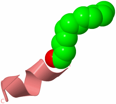 Image Biological Unit 8