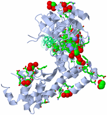 Image Biol. Unit 1 - sites