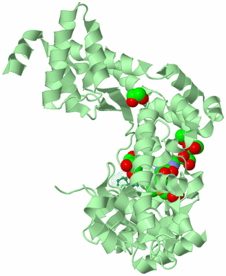 Image Biological Unit 2