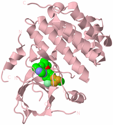 Image Biological Unit 3