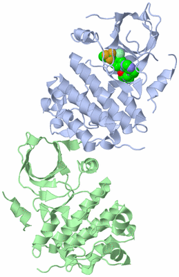 Image Biological Unit 5