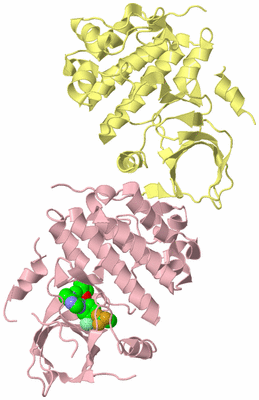 Image Biological Unit 6