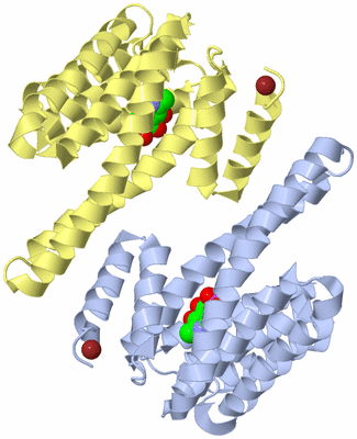 Image Biological Unit 1