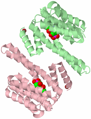 Image Biological Unit 2