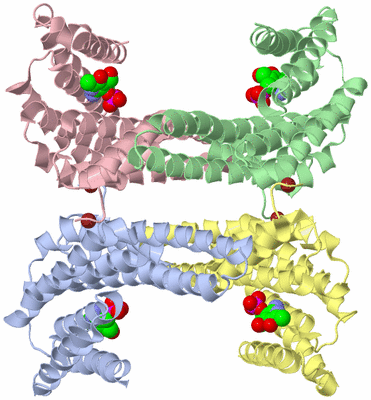 Image Biological Unit 3