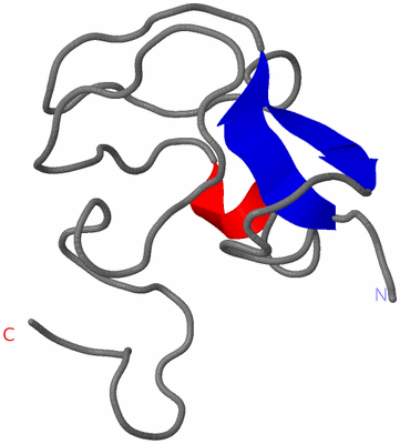 Image NMR Structure - model 1