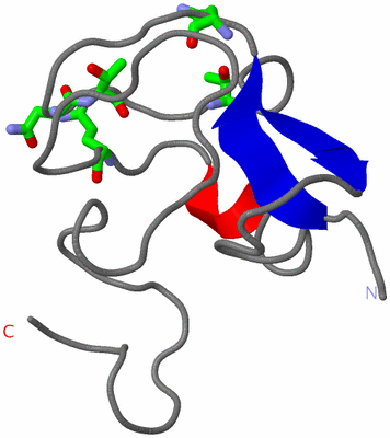 Image NMR Structure - model 1, sites