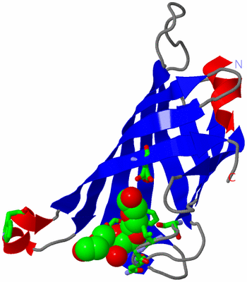 Image Asym. Unit - sites