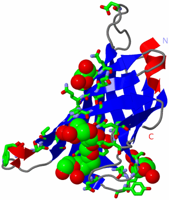 Image Asym. Unit - sites