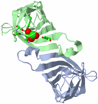 Image Asym. Unit - sites