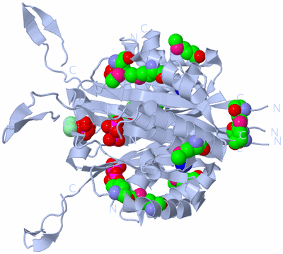 Image Biological Unit 1