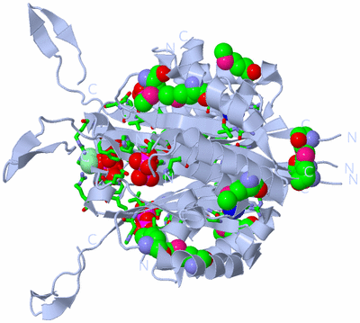 Image Biol. Unit 1 - sites