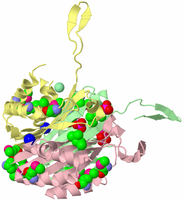 Image Biological Unit 2