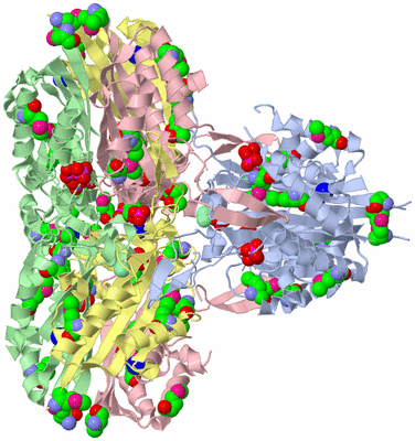 Image Biological Unit 3