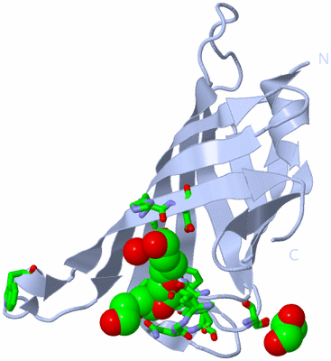 Image Biol. Unit 1 - sites