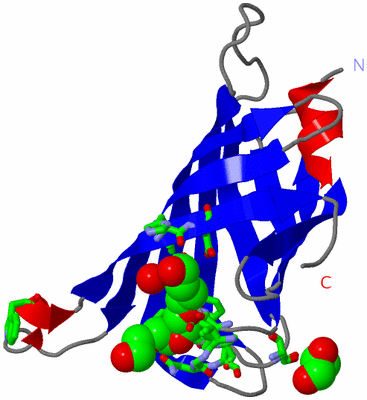 Image Asym. Unit - sites