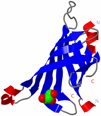 Image Asymmetric Unit