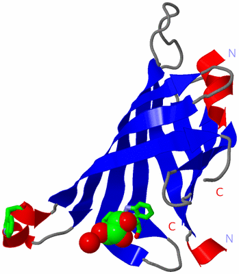 Image Asym. Unit - sites