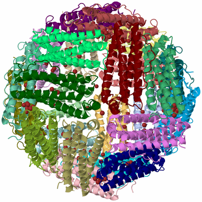 Image Asym./Biol. Unit