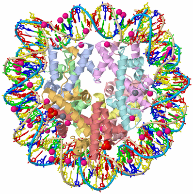 Image Asym./Biol. Unit