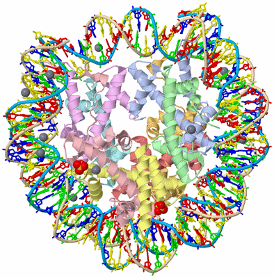 Image Asym./Biol. Unit