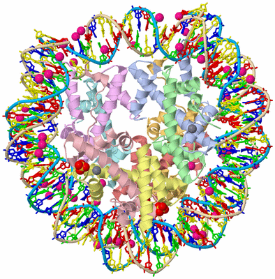 Image Asym./Biol. Unit