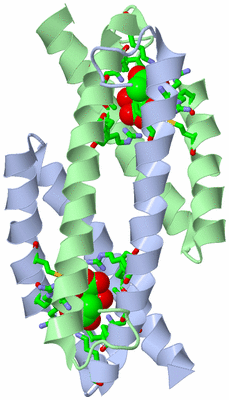 Image Asym./Biol. Unit - sites