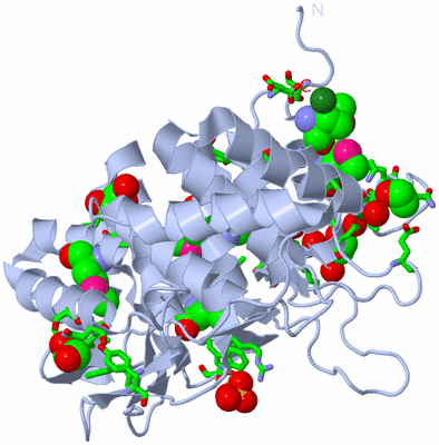 Image Biol. Unit 1 - sites