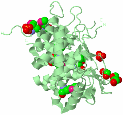 Image Biological Unit 2