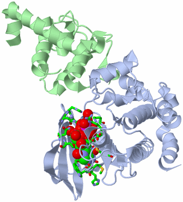 Image Asym./Biol. Unit - sites