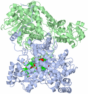 Image Asym./Biol. Unit - sites