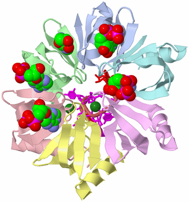 Image Asym./Biol. Unit