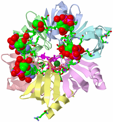 Image Asym./Biol. Unit - sites