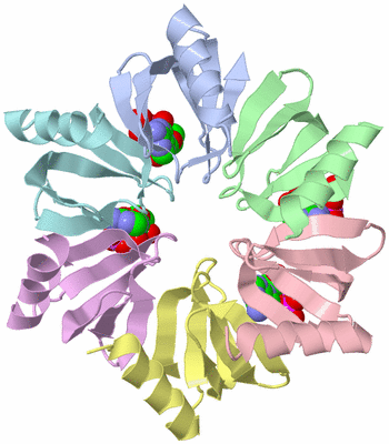 Image Biological Unit 1