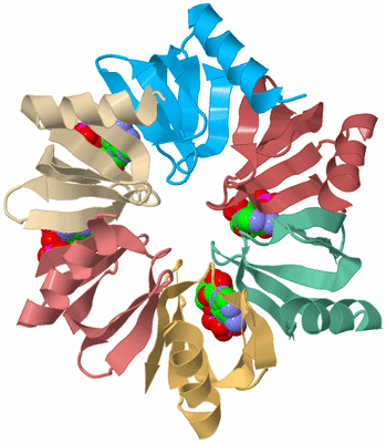 Image Biological Unit 2