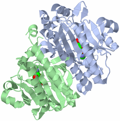 Image Asym./Biol. Unit