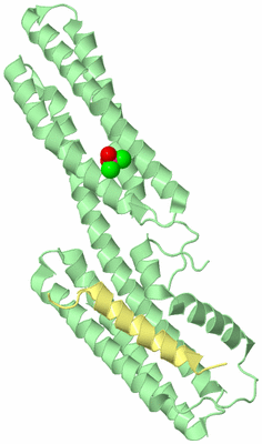 Image Biological Unit 2