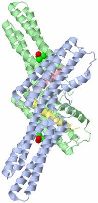 Image Biological Unit 3